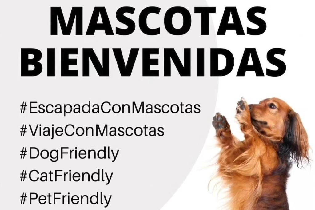 La Caseta De Rotova - Casa Rural Para Desconectar Exteriör bild