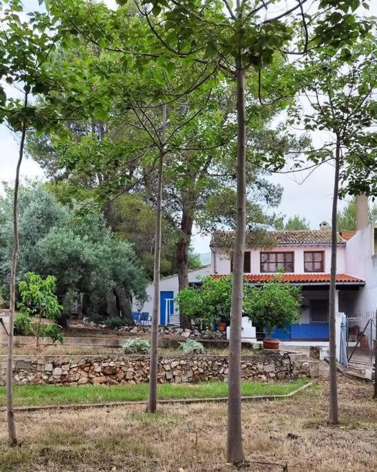 La Caseta De Rotova - Casa Rural Para Desconectar Exteriör bild