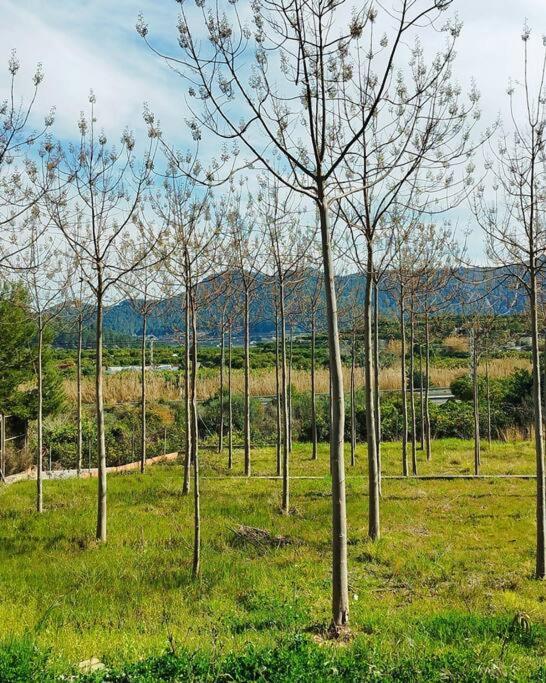 La Caseta De Rotova - Casa Rural Para Desconectar Exteriör bild